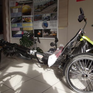 KETTWIESEL LEPUS 2022